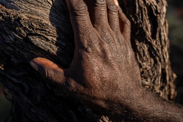 Stewards of the Land - Post 2 of 6