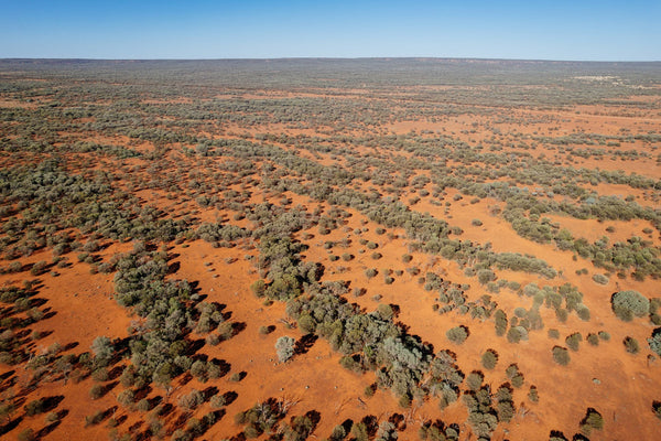 Pura x Dutjahn: A Transportive Journey to Martu Ancestral Lands - Post 4 of 6