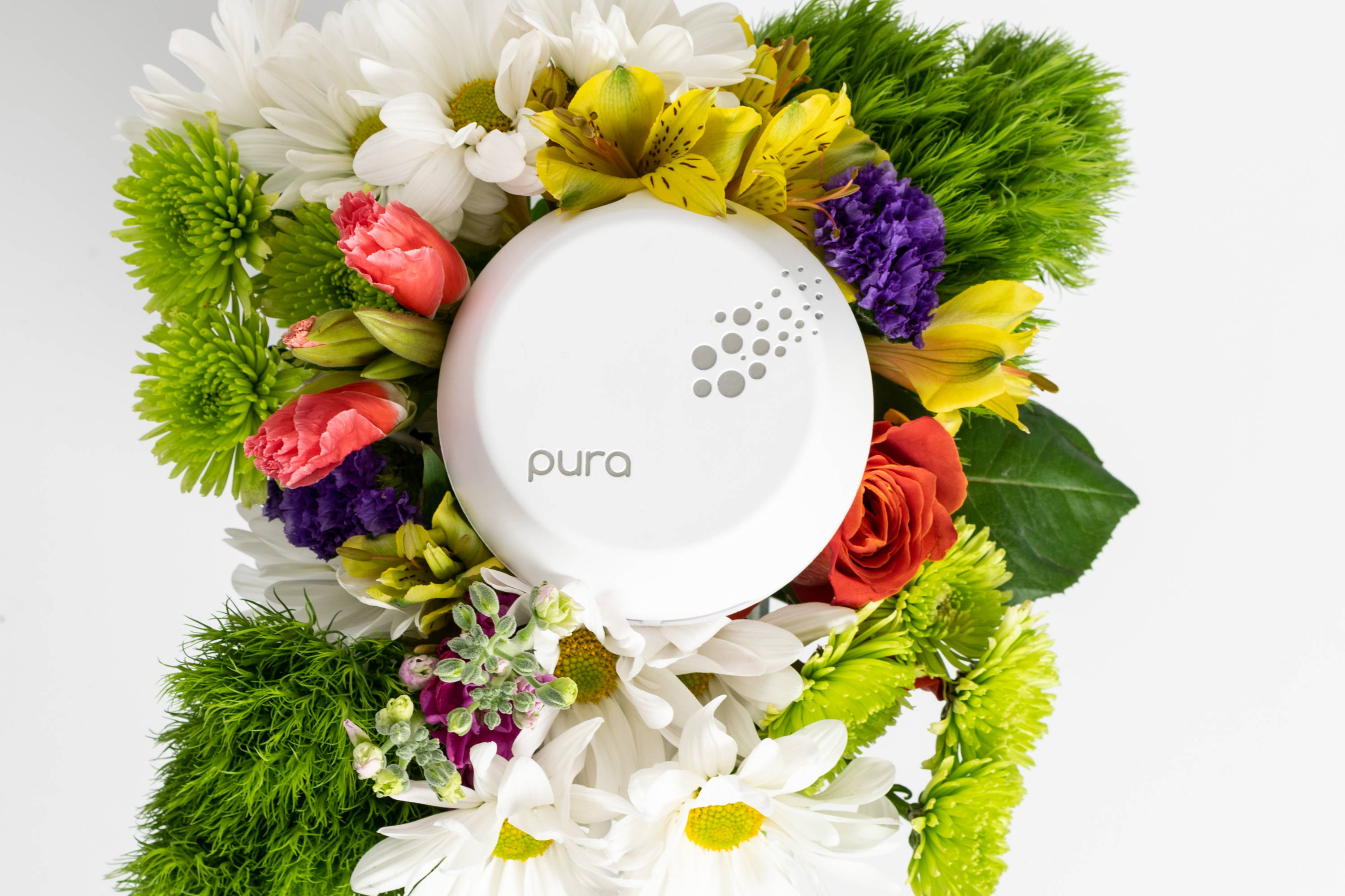 How To Keep Your Home Fresh During Quarantine Pura Home Fragrance Blog