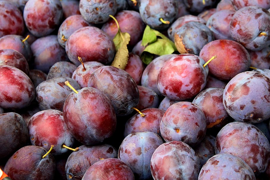 Why Does Autumn Plum Smell So Great? An Ode to the Fall Scent of Plums