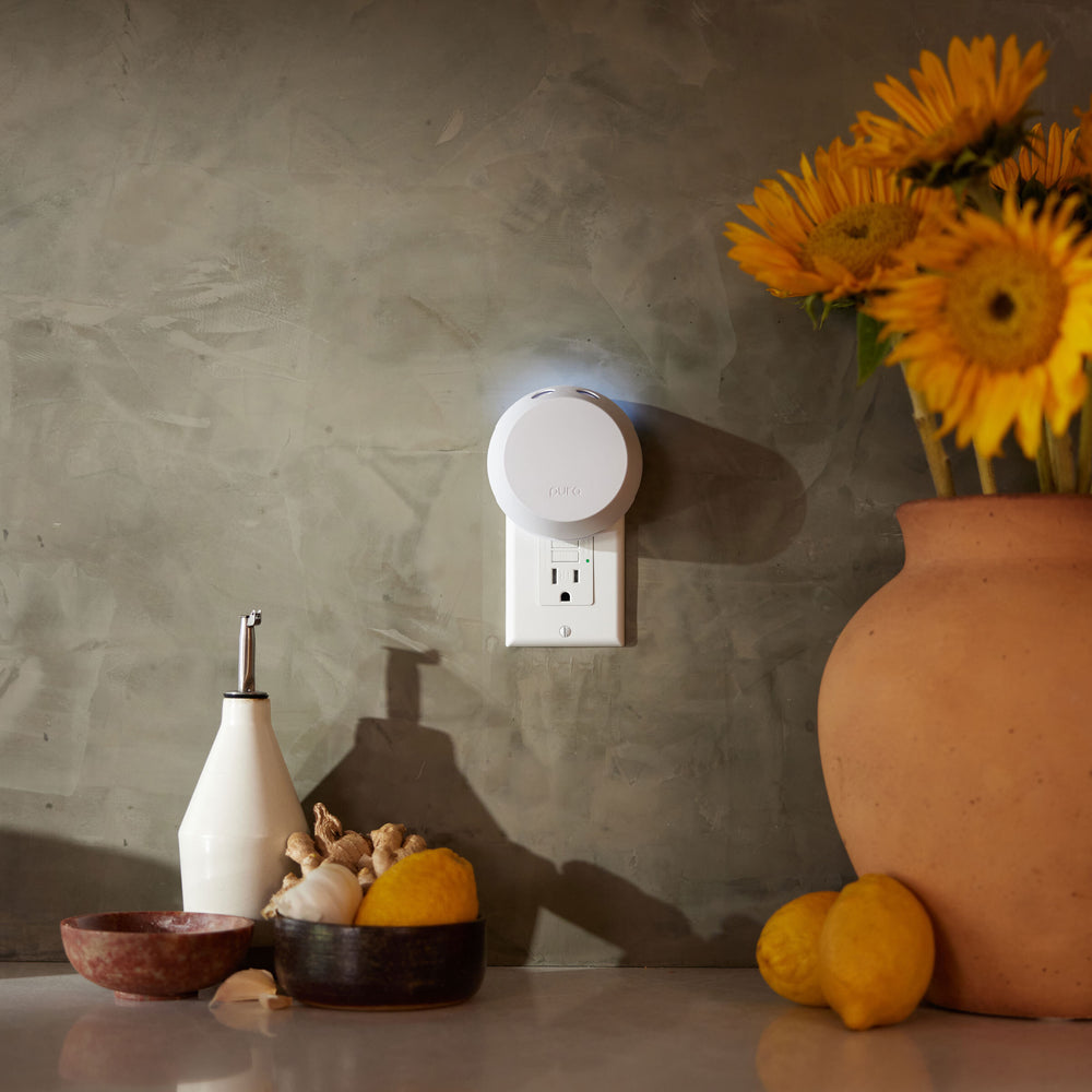 Pura - Official Site - Best Smart Home Fragrance Diffuser System