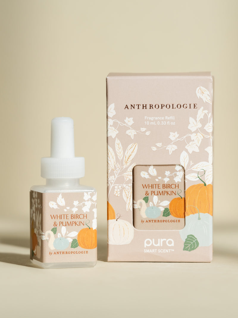 White Birch & Pumpkin by Anthropologie