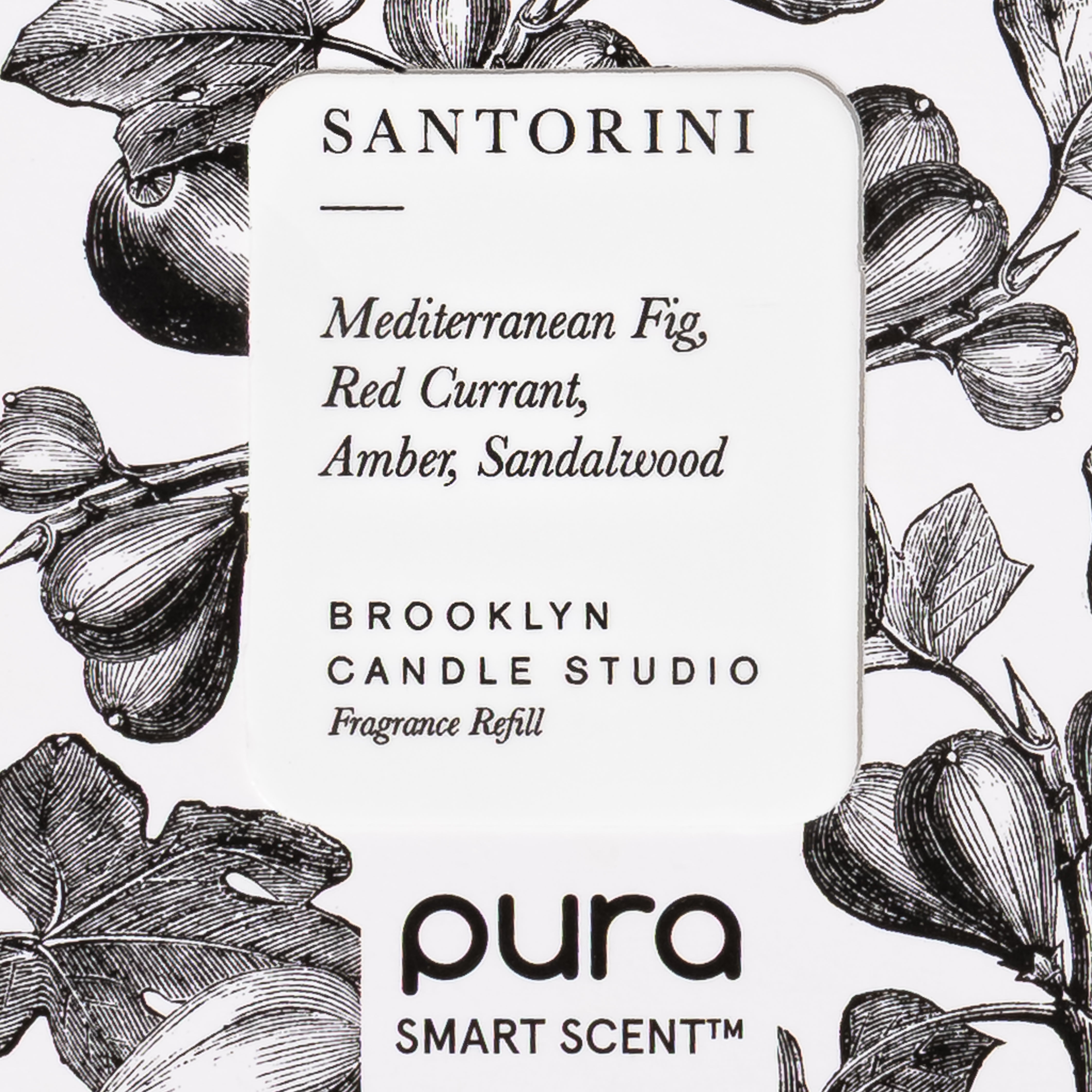 Santorini Home Fragrance Diffuser Oil by Brooklyn Candle Studio