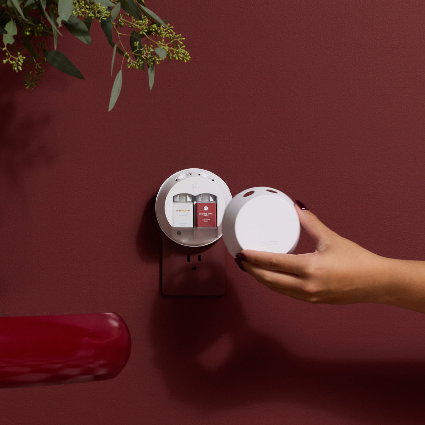 Free diffuser. Limited time.