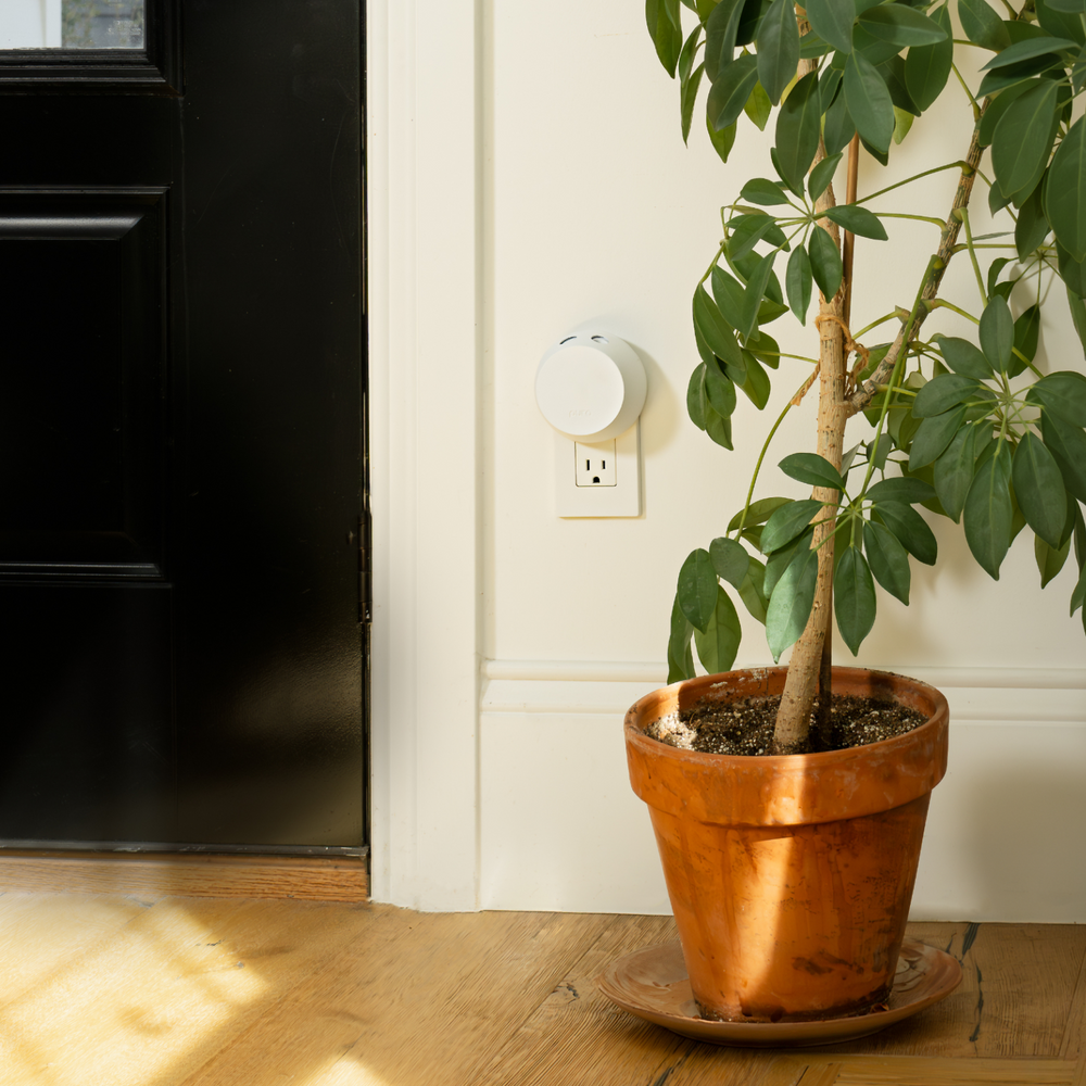 Fragrance of the Month Curated Subscription