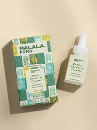 Brazil: Breath of Courage