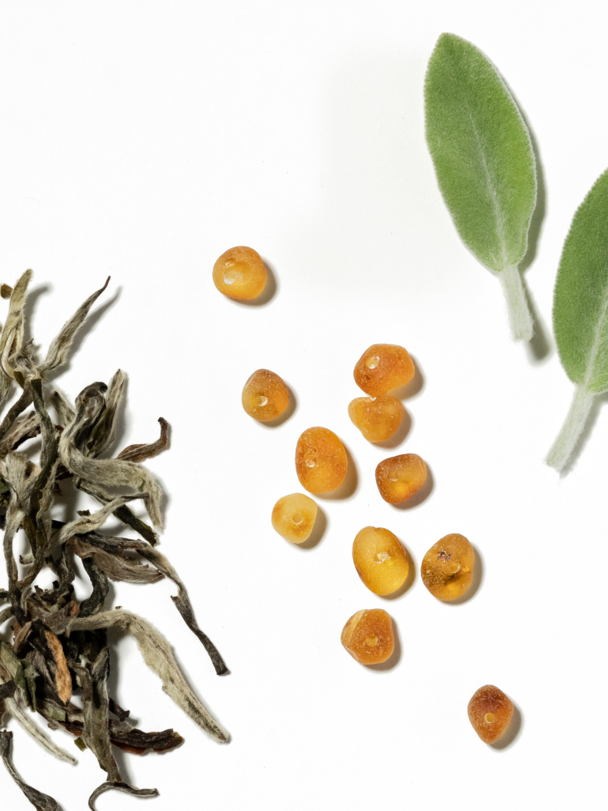 White Tea No. 1 Home Fragrance Diffuser Oil Powered by Pura