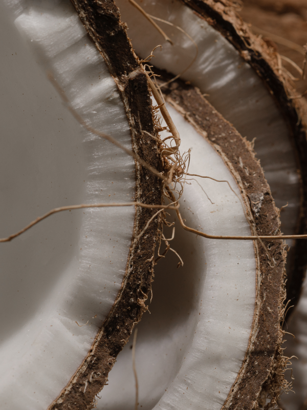 Del Mar Car Fragrance Diffuser Oil Powered by Pura