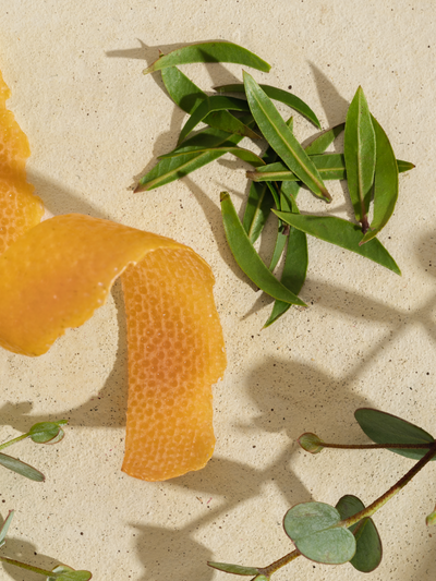 White Tea Blossom - ingredients view