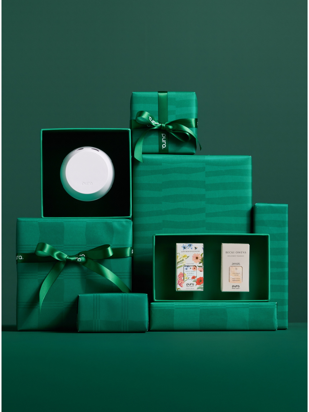 Homebody Gifting Set