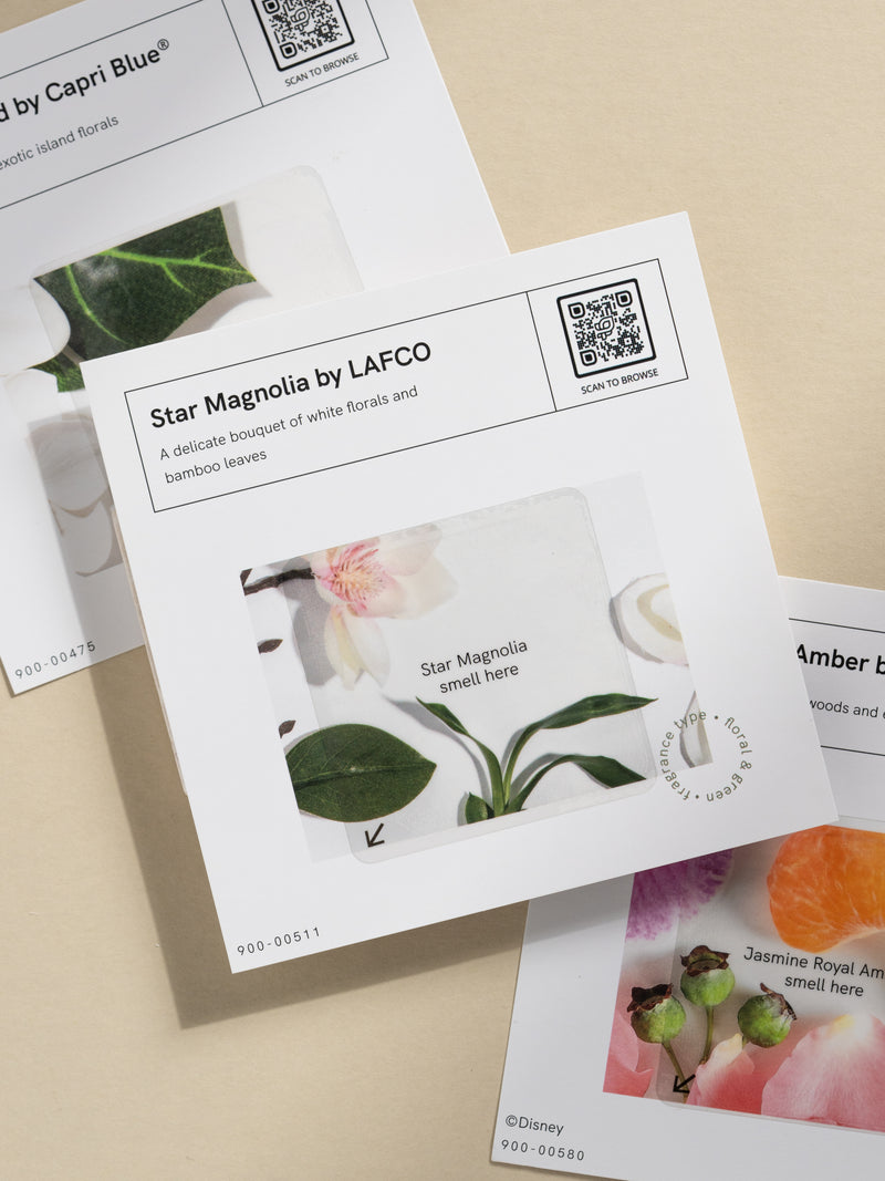 Free Scent Sample Bundle