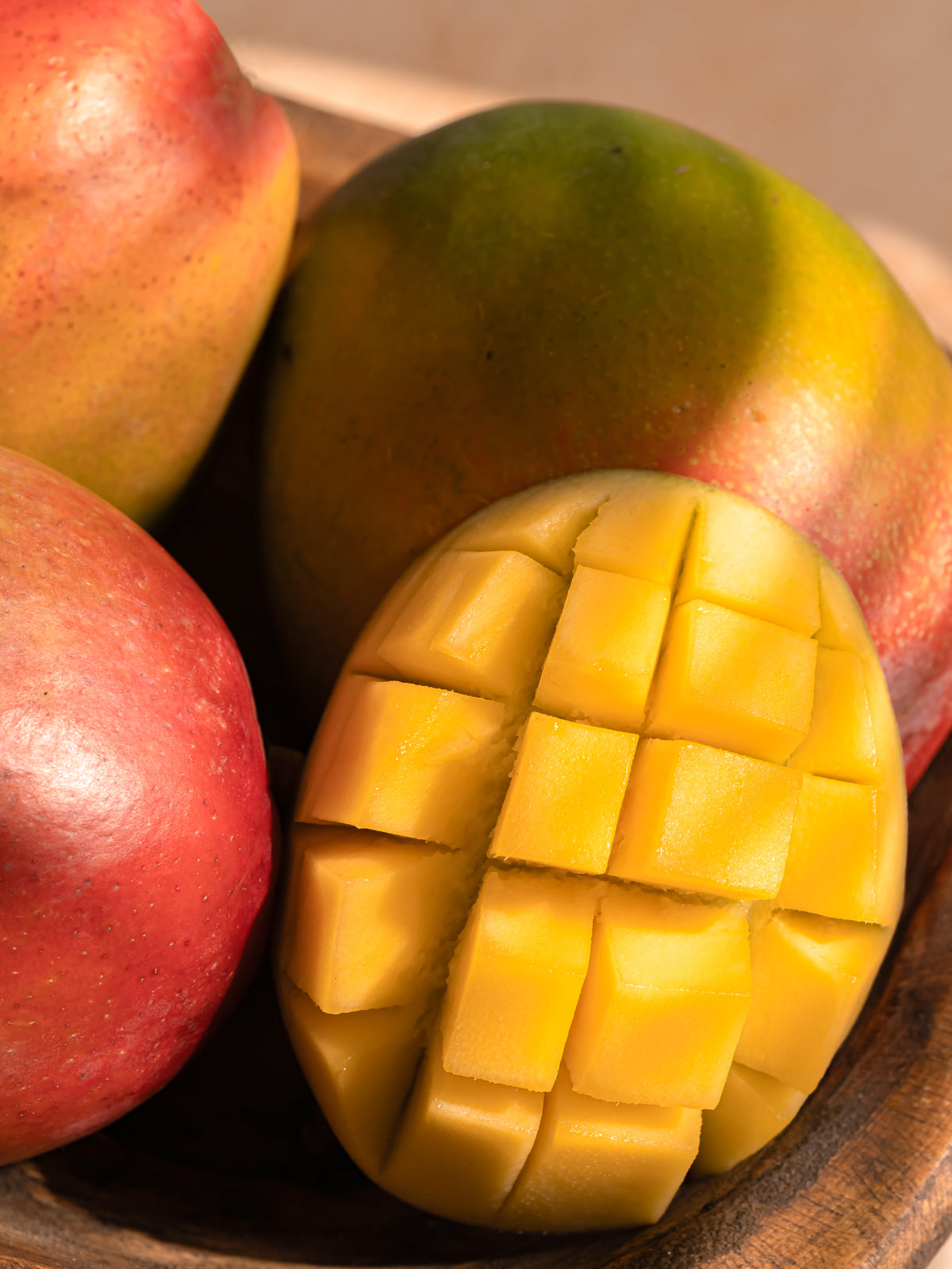 Pakistan: Future in Bloom