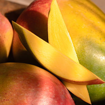 Clementine Mango Smart Home Fragrance Refill, 10mL