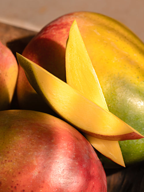 Beach Vacay - ingredients view