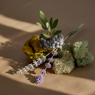 Winter Bayberry - ingredients view