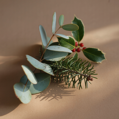 Winter Mantel - ingredients view