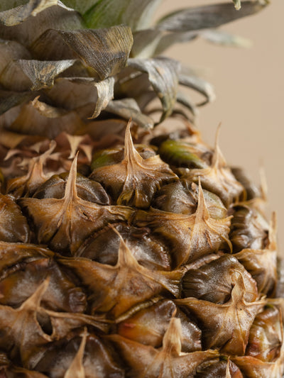 Pineapple Cilantro - ingredients view