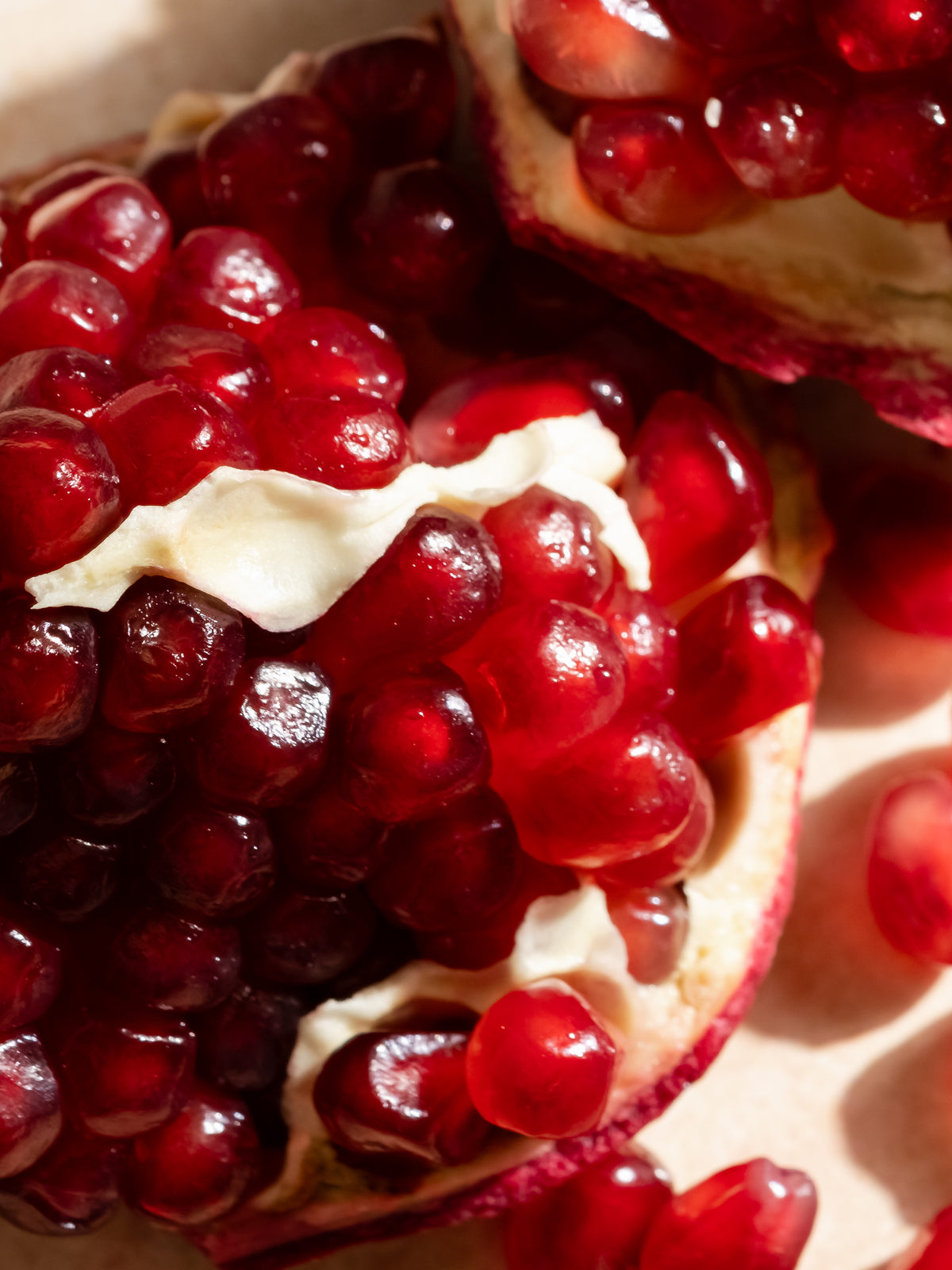 Pomegranate + Spruce