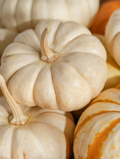 Pumpkin Macchiato - ingredients view