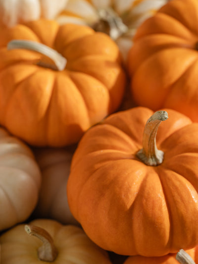 Pumpkin Laurel - ingredients view