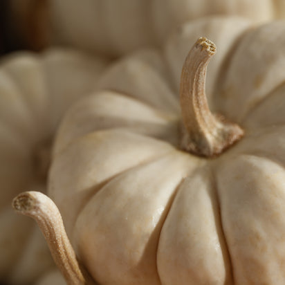 White Pumpkin Smart Home Fragrance Refill, 10mL