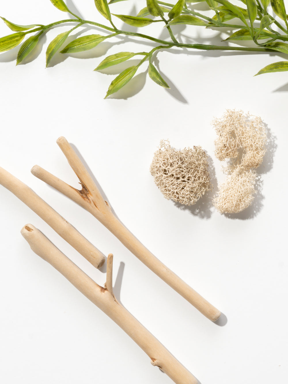 Beach Cottage Home Fragrance Diffuser Oil | Powered by Pura