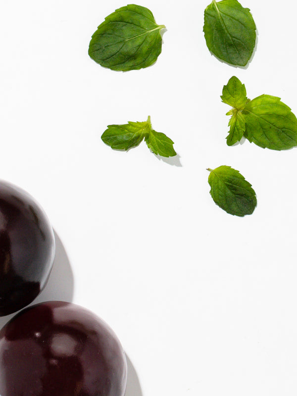 Sweet Grace Home Fragrance Diffuser Oil Powered by Pura